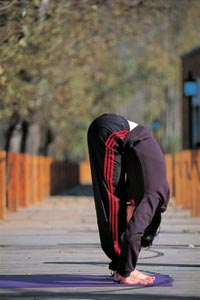 �٤��ѧ�ߵİ���8ʽ (��ͼ)