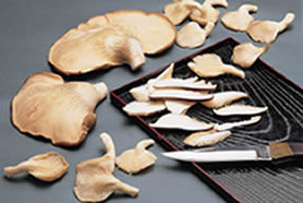 ��ʲô����������������(ͼ)