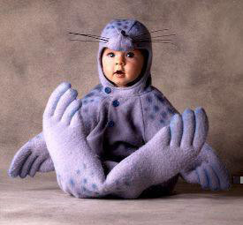 10��һ��Ҫ�����ƵĹ��(ͼ)