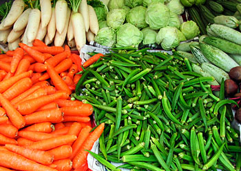 ��ʳ����ɫ�������ڱ���(ͼ)