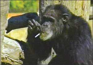 ���ѣ������������������ͼ