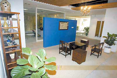 ��Щֲ���ʺϷ��ڰ칫��(ͼ)