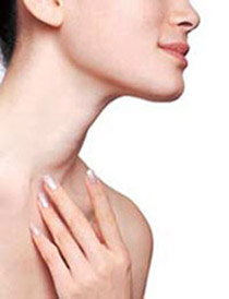 Ƥ�������������ľ�����(ͼ)