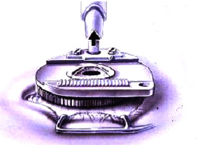 ����������ϸ����