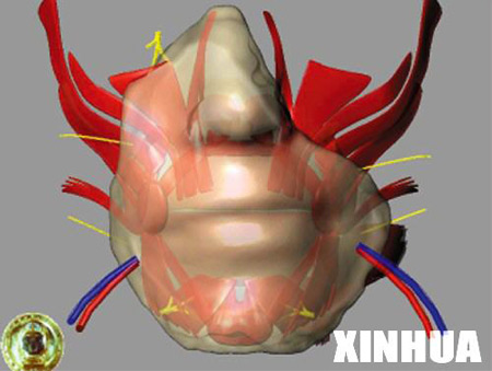 ׷��:�������������� �ڷ�������ҽԺ���� ��ͼ