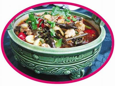 ��ɫʳ�ﲢ��ֻ����Ʒ(��ͼ)