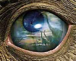 ���ڡ�80�󡱵������ֻŷ���