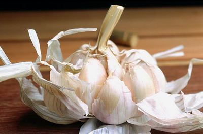 Ԥ����ð һ���������(ͼ)