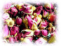 ����ʳ��׳����������(��ͼ)