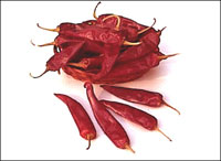 ����ʳ��׳����������(��ͼ)