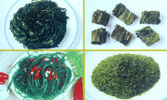 ������ʳ�����ӵ㡰�塱(ͼ)