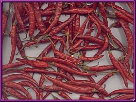 ����������������������(ͼ)