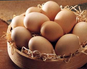 �����ó�Ӫ�����ܷ�����(ͼ)