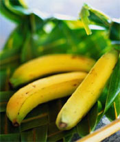 �㽶�ܻ����۾���ɬ(ͼ)