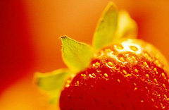 ϴ��ݮʱǧ��Ҫȥ�ٽ���