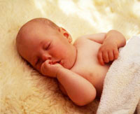 �������� ������Ȼ������