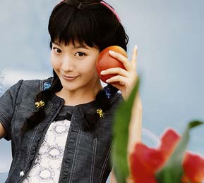 ������ ��ʳ��ʮ��ע������