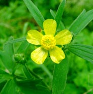 ��������̤��Ҫ�������۾�!