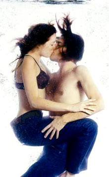 �԰�Ӧ����������(ͼ)