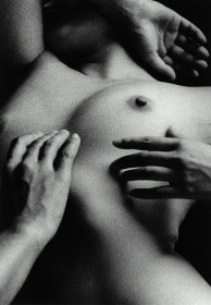 ������鷿���ؾ�(ͼ)