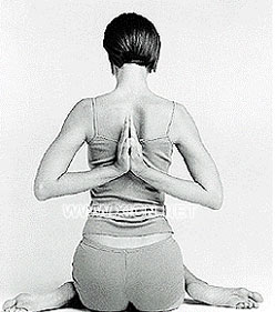 8����춯��ʹ��������(��ͼ)