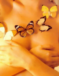 �и��鷿�ǻ������ڿ�ʼ(ͼ)