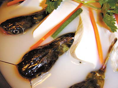 ���� һ���嵭��ζ��(��ͼ)