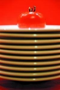 ��豹��� �Գ�����(ͼ)