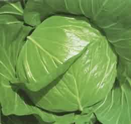 �����������߲˿�ζ����