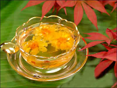 ʮ���������ݲ��ջ�(ͼ)