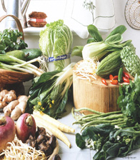 һζֻ����Ҳ�����Ǹ�(����)