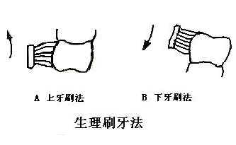 ����ˢ������