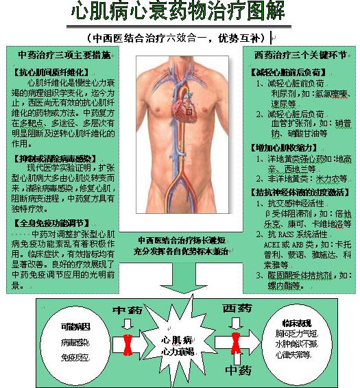 �ļ�����˥ҩ������ͼ��