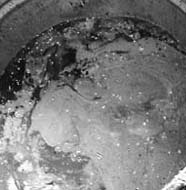 ÿ�վ�ѡ����μ���ع���(ͼ)