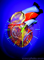 ����ʹ��Ѫ�ܲ�Σ������15������