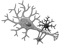 þ��Ԥ���������������񾭹�������