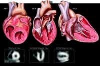 ���㱣��������ļ�ȱѪ�ĺ�����Ӱ��ѧ�о�