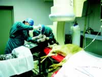 �ٴ������������д��¡���������к��������о�����֧���ܾ��μ�����������