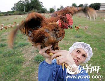 ������ҩƷ��սһ������