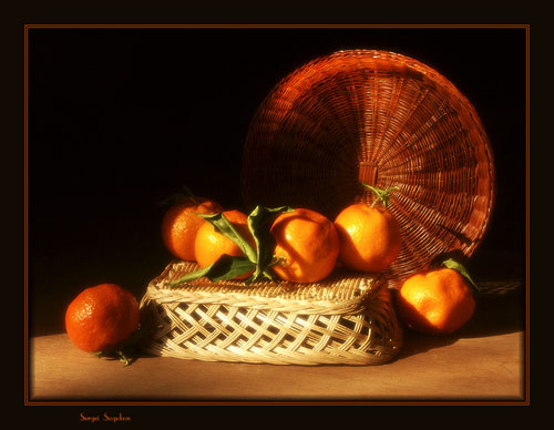 ʳ��˲�����̵�����