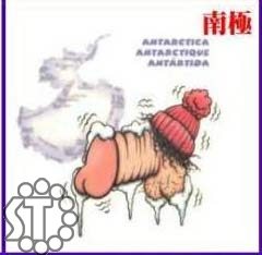 ����������ֳ������������