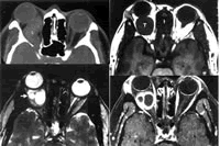 Ӱ��ѧ������ۿ�����������