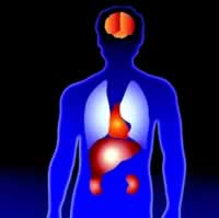 �����β��о�ѧ�ἱ�Ը�˥�������Ƽ���� ���Ը�˥�ߵĶ���