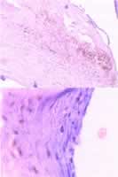 ­�ڶ���Ӳ���̶��Ի��׶��� �����ж�������