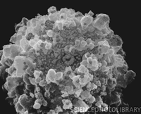 ��Ч����ת¼�������ƿɼ��ٰ��̲����������Ⱦ