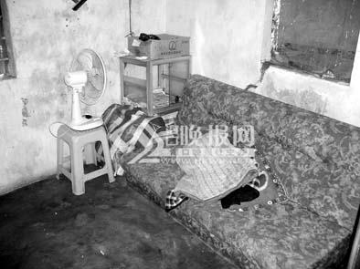 ���ߵ���:ƶ����ȺΪ��ѡ�����������