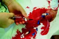 2006��ŷ������ѧ����ᱨ��