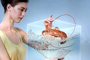 ������ҹ�� ��4�󺦴�