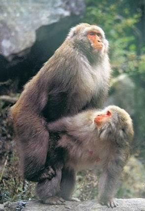 �Է������Խ���