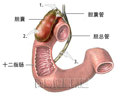 �����г���ͼ��